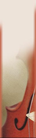 banner graphic