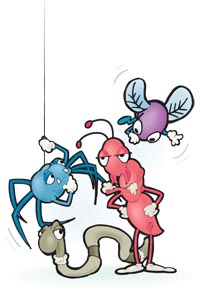 bugs!